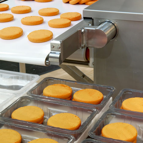 solution food production