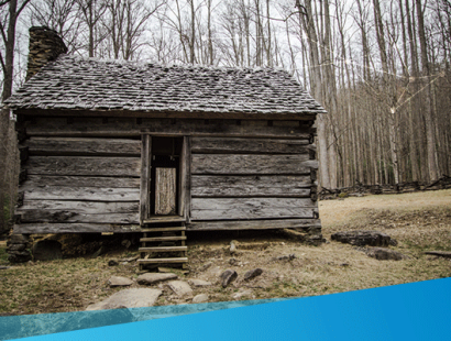 Cabin in the woods