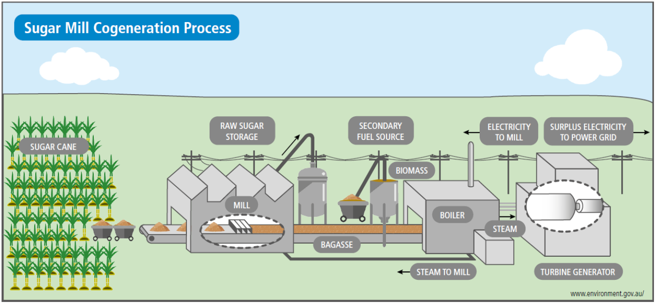 sugar mill