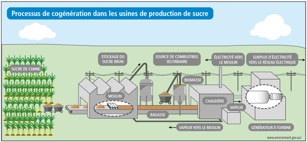 sugar mill