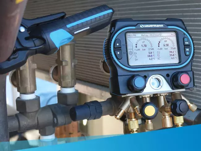 Manifold Sauermann