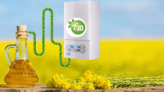 biofioul f30